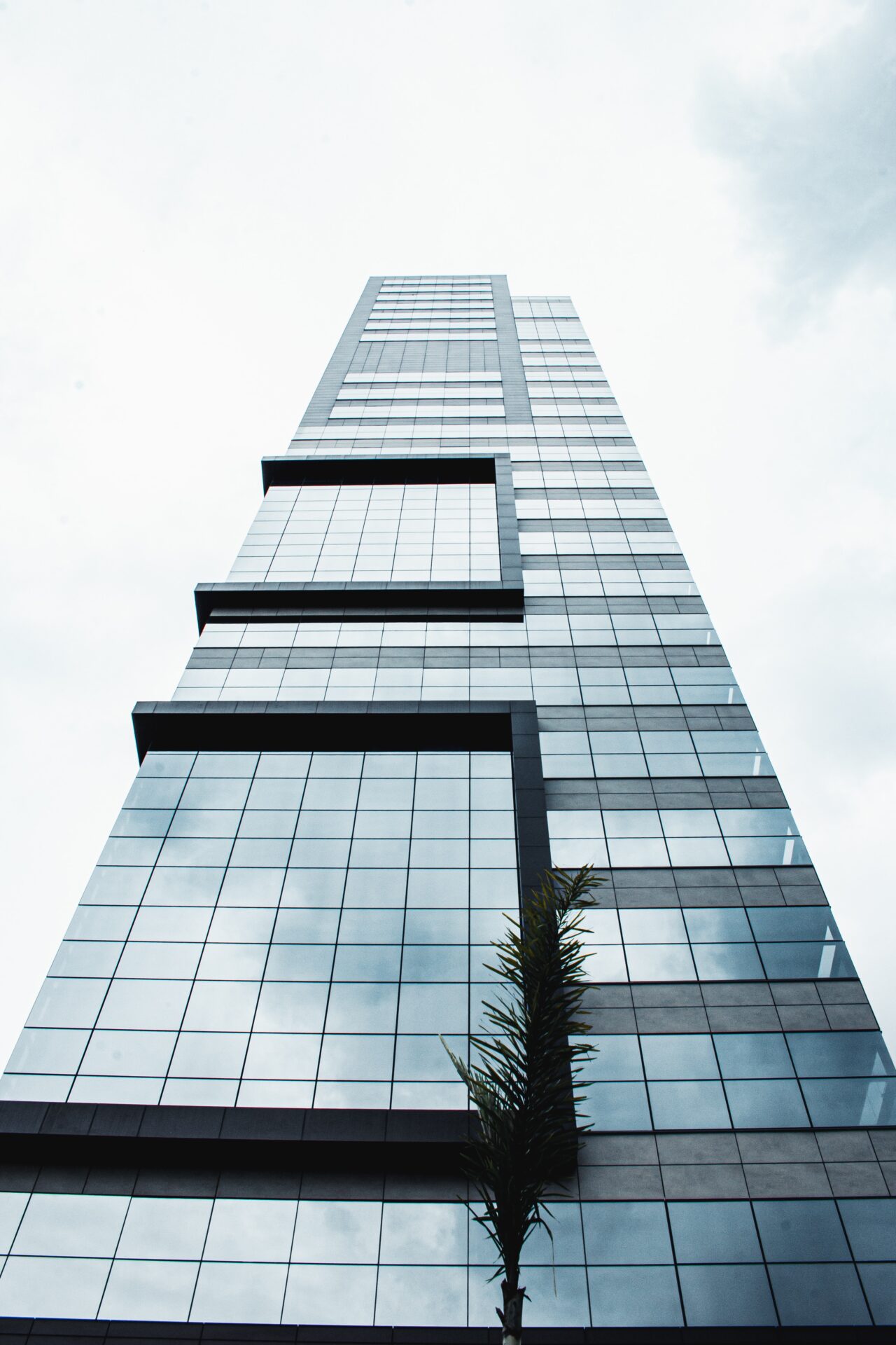 A tall building with many windows and a tree in the bottom.